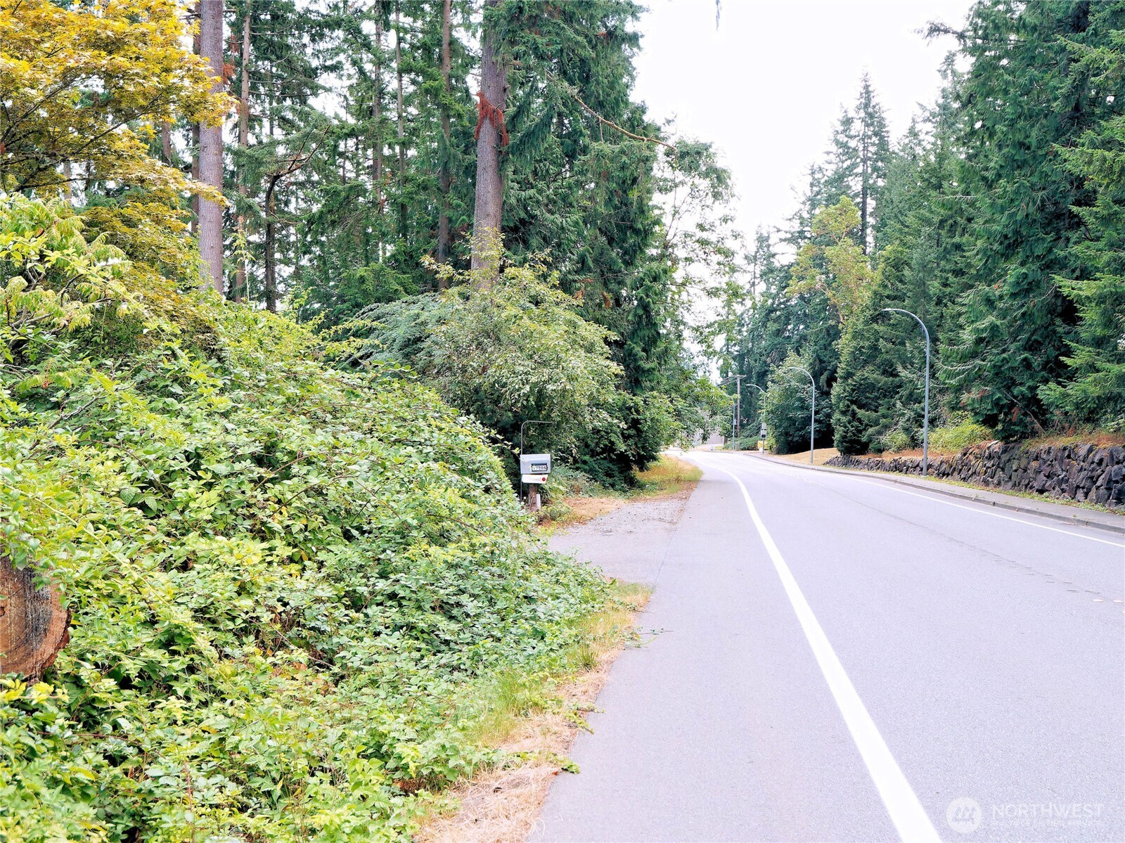 17204 Northup Way Property Photo 20