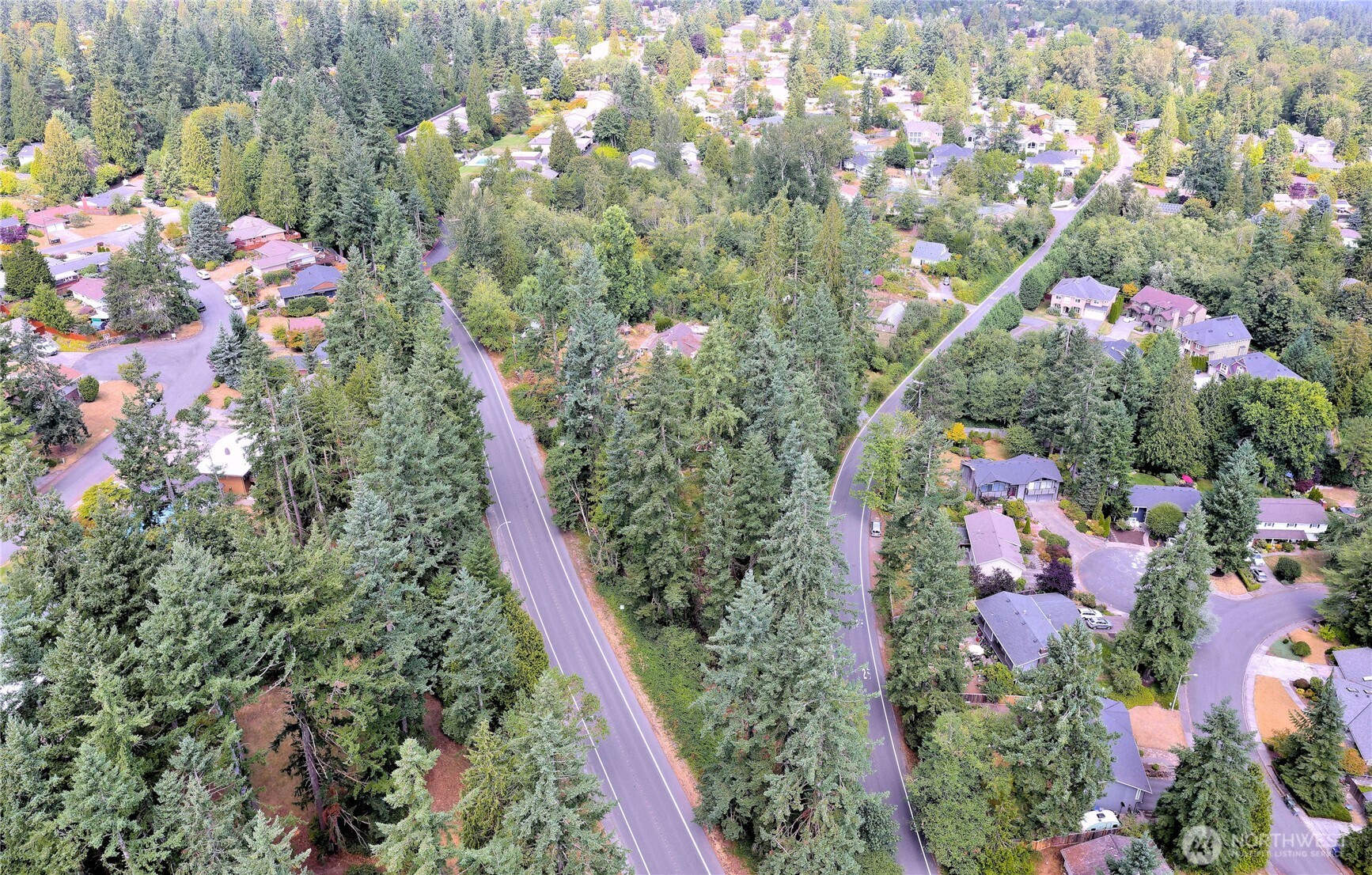 17204 Northup Way Property Photo 29
