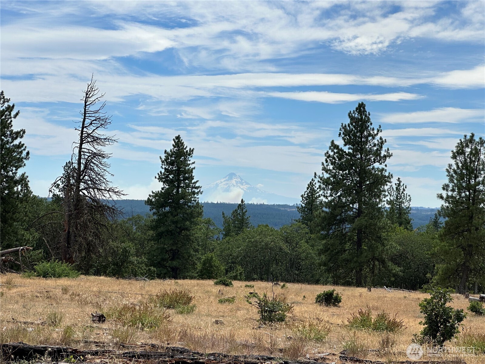 27 Greyback Mtn Road Property Photo 2