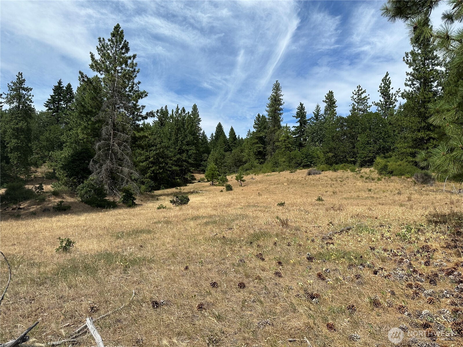 27 Greyback Mtn Road Property Photo 3