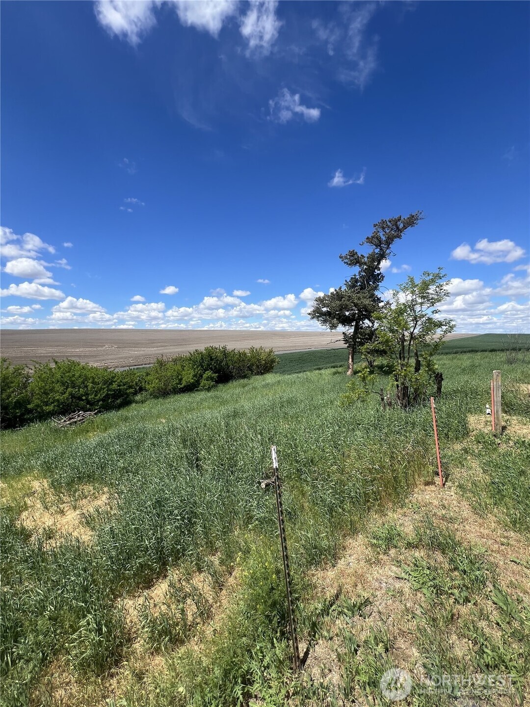 1225 N Marcellus Road Property Photo 32
