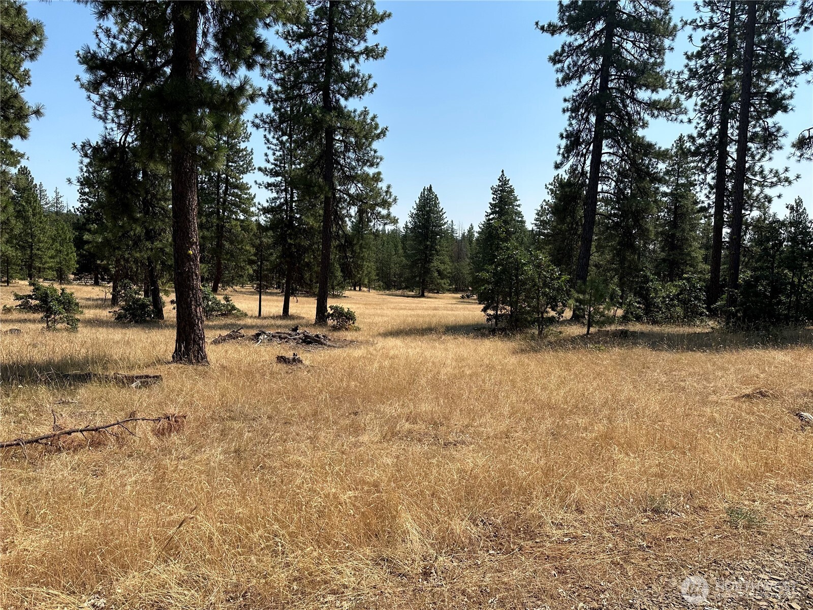 13 Greyback Mtn Road Property Photo 1