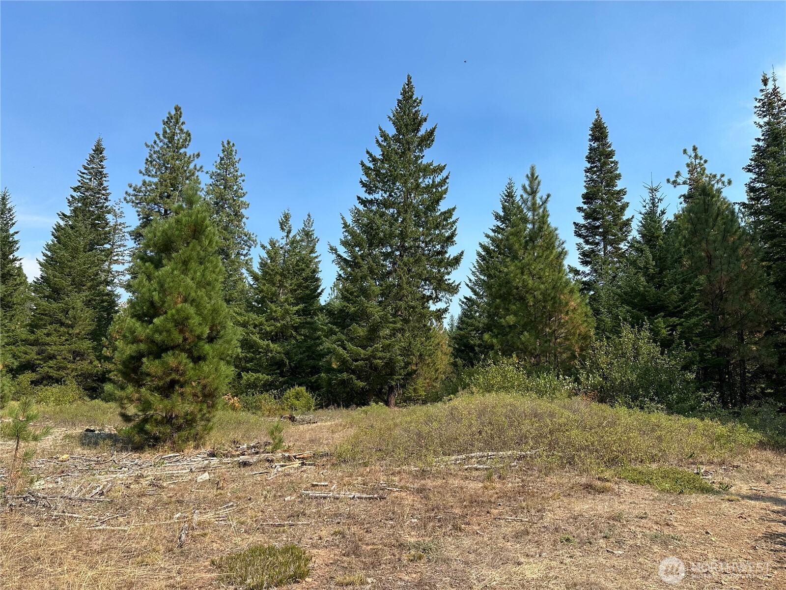 2 Cedar Monument Road Property Photo 3