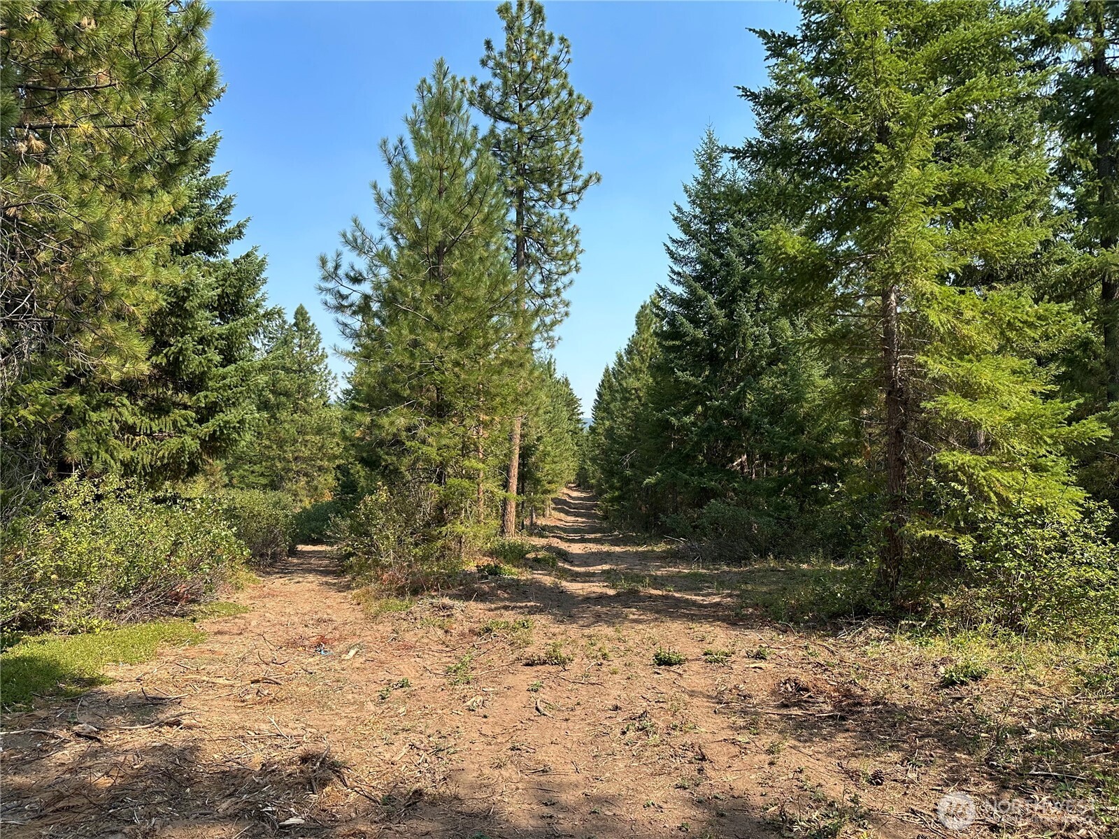 2 Cedar Monument Road Property Photo 4