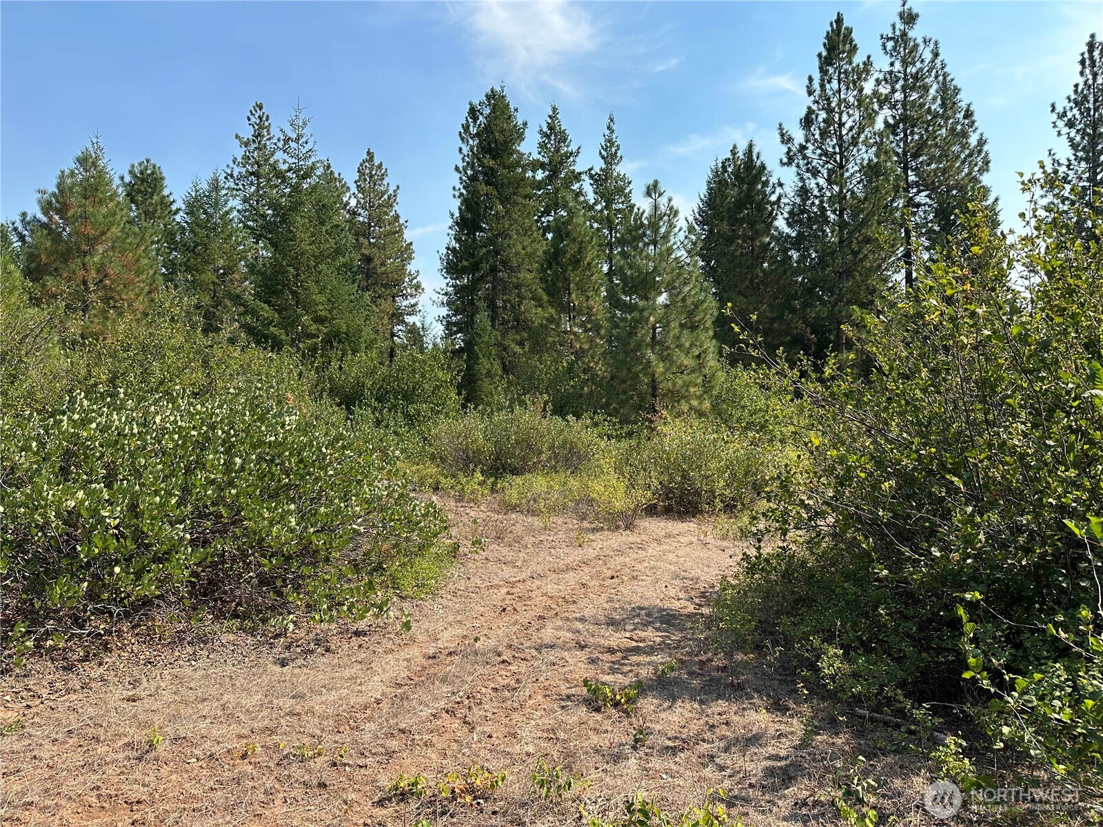 2 Cedar Monument Road Property Photo 5