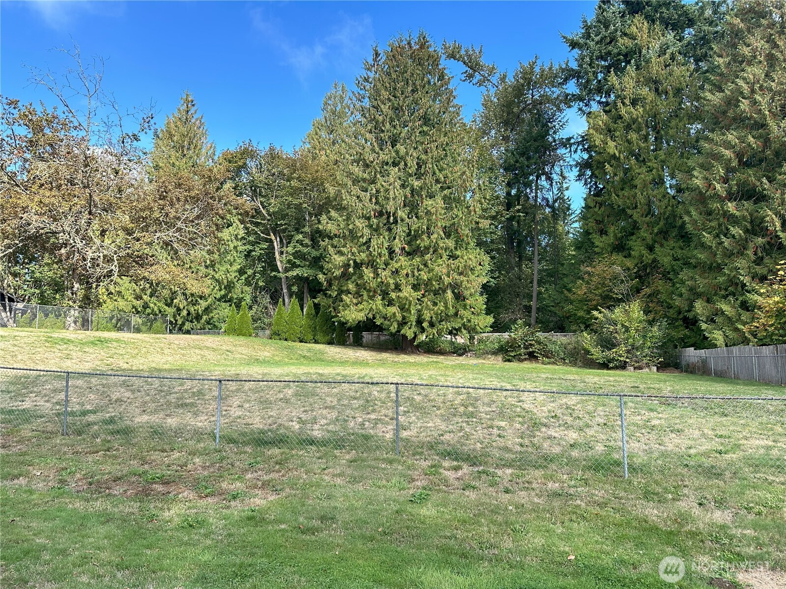 10419 46th Place Property Photo 5
