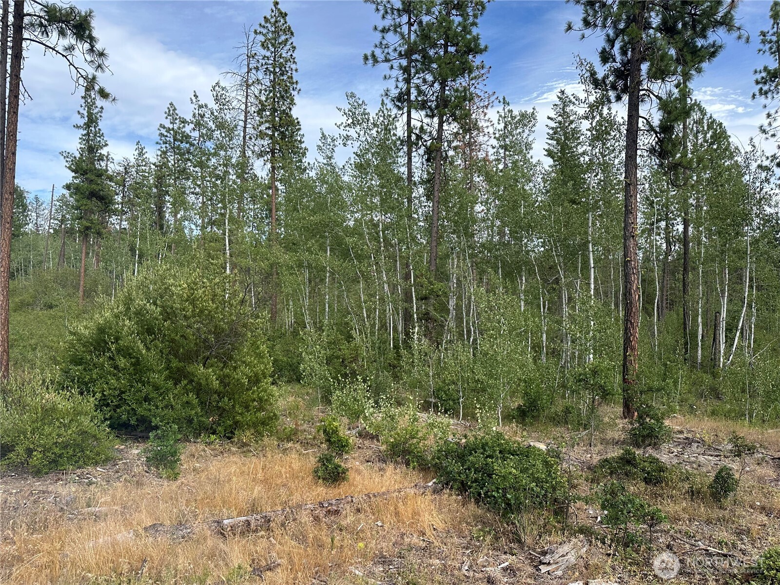 5 Greyback Mt Road Property Photo 1
