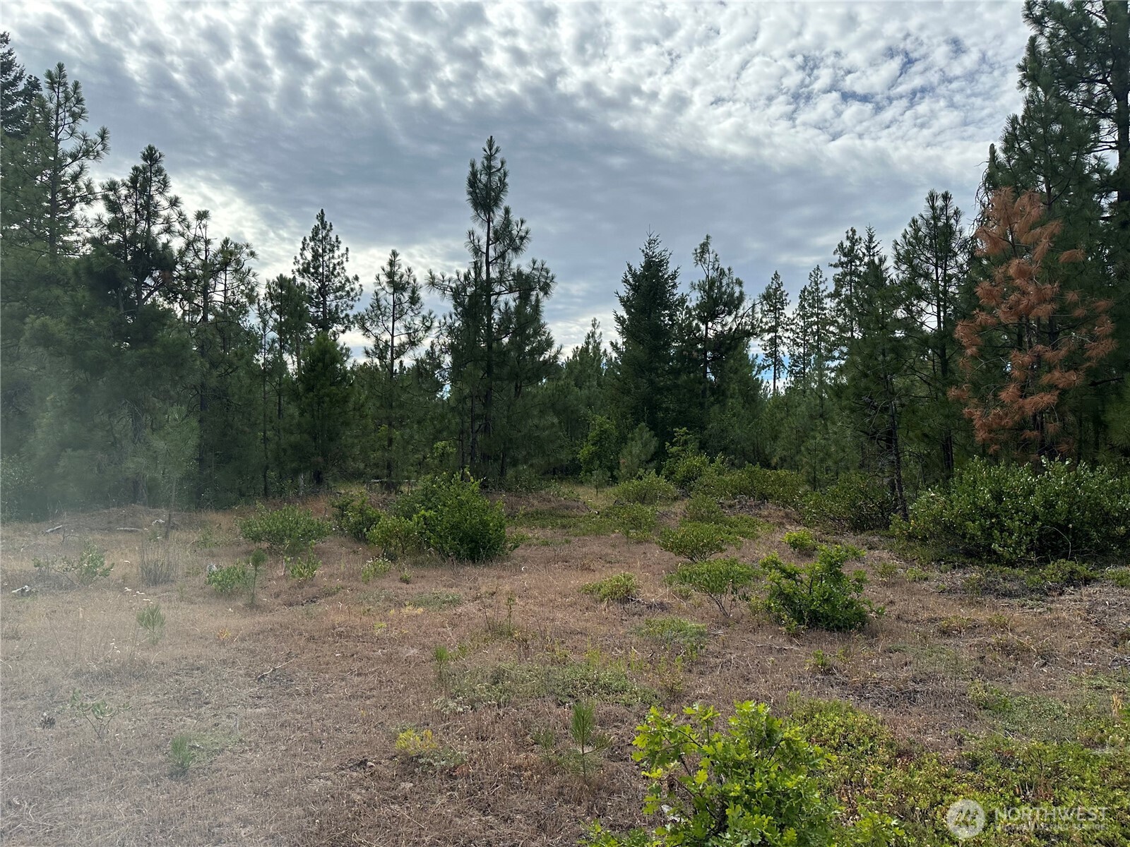 5 Greyback Mt Road Property Photo 2