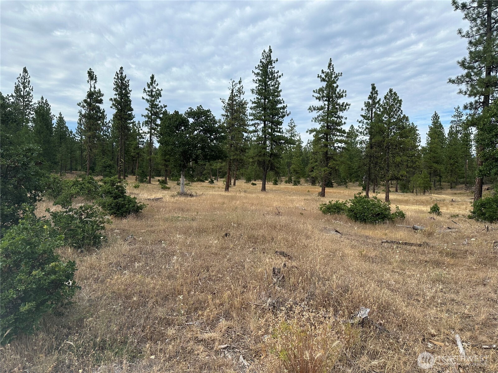 5 Greyback Mt Road Property Photo 3