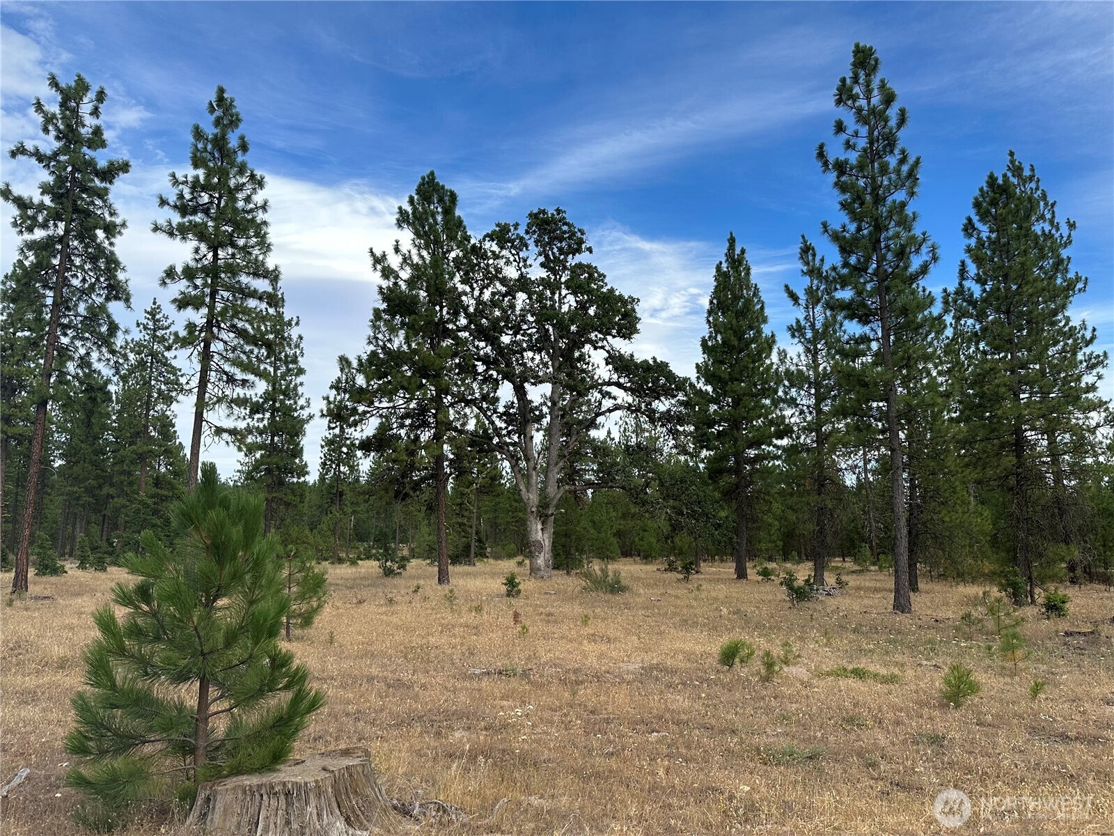 5 Greyback Mt Road Property Photo 4