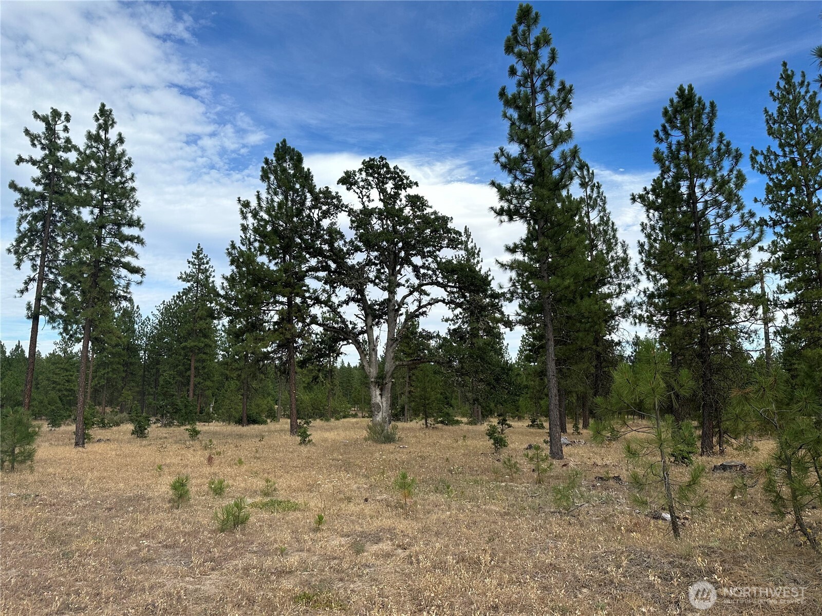 5 Greyback Mt Road Property Photo 5
