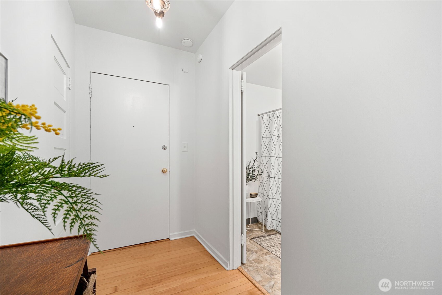 7 Harrison Street 26 Property Photo 24