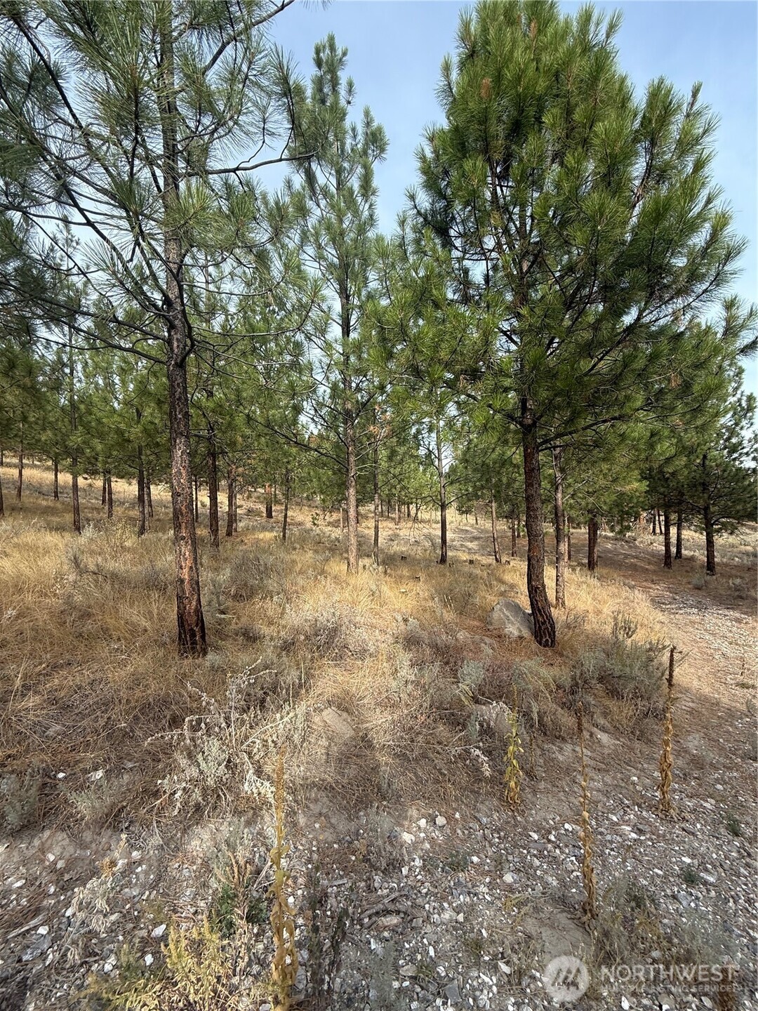 67 W Bannon Creek Road Property Photo 2