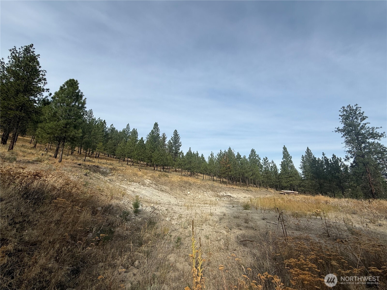 67 W Bannon Creek Road Property Photo 3