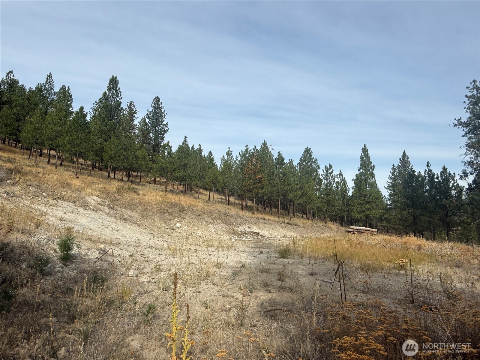 67 W Bannon Creek Road Property Photo 5