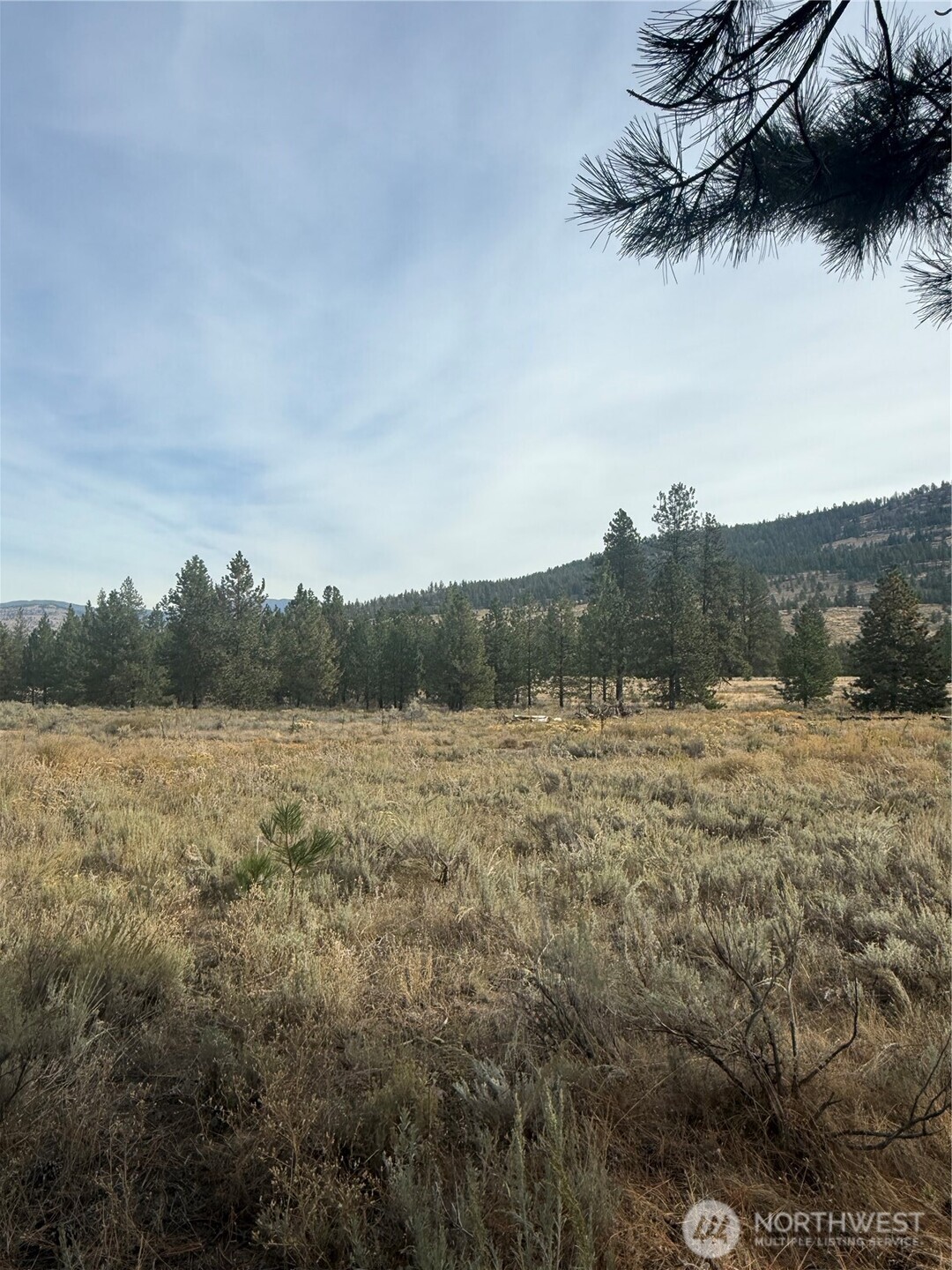 67 W Bannon Creek Road Property Photo 6