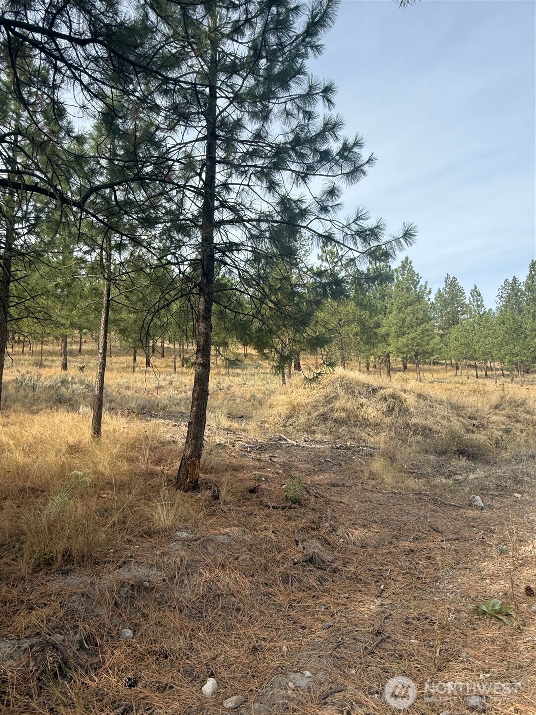 67 W Bannon Creek Road Property Photo 8