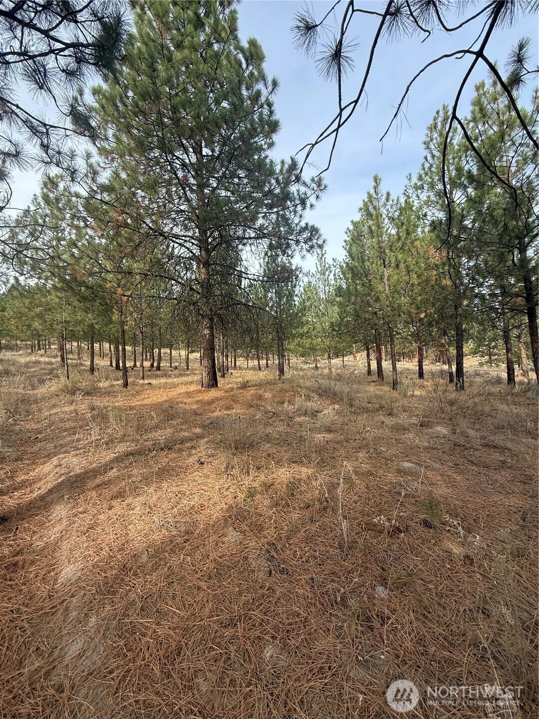 67 W Bannon Creek Road Property Photo 9