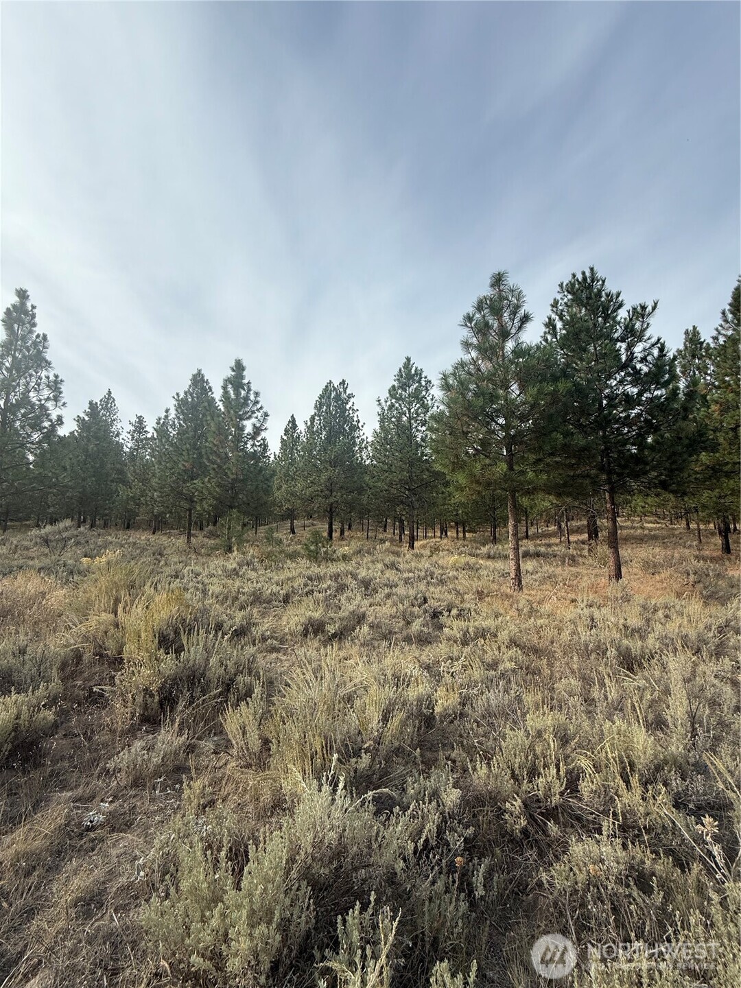 67 W Bannon Creek Road Property Photo 10