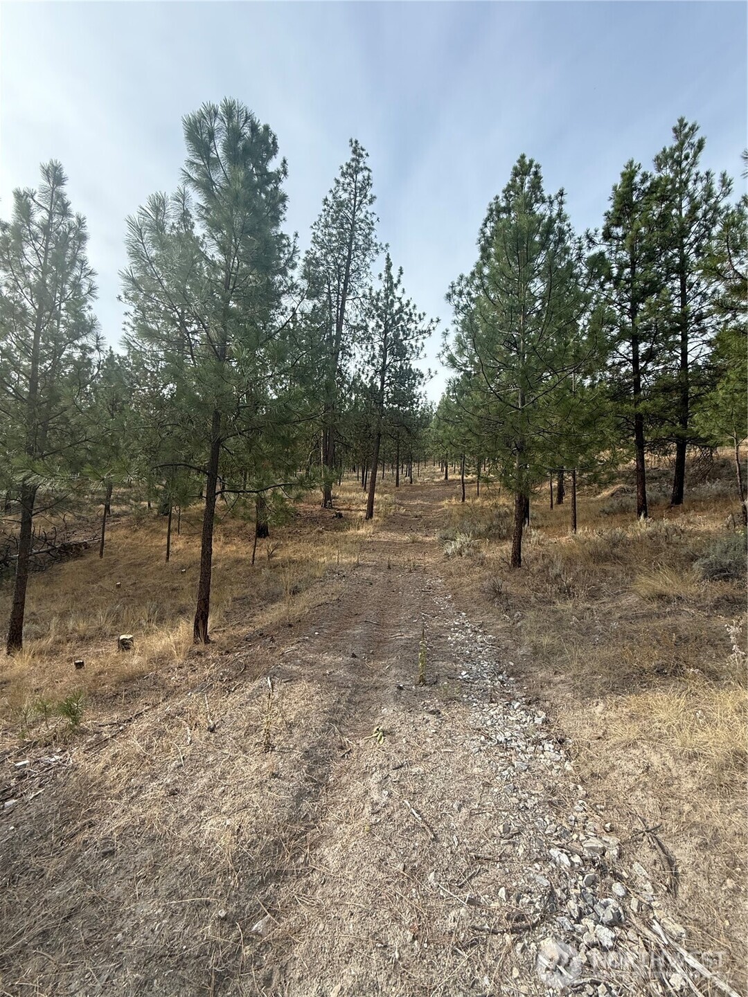 67 W Bannon Creek Road Property Photo 11