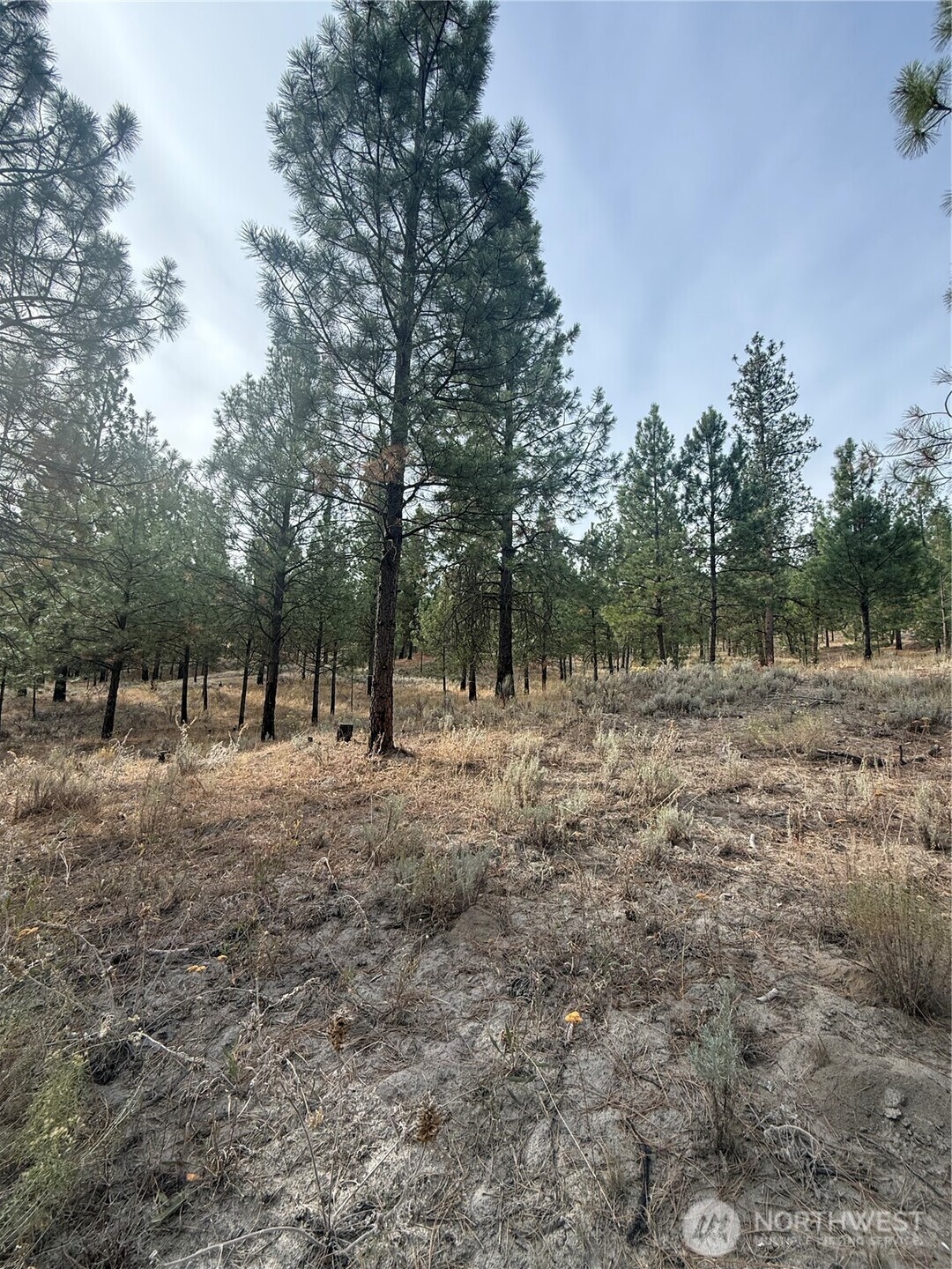 67 W Bannon Creek Road Property Photo 12