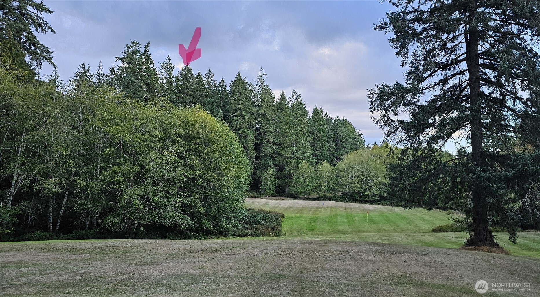 10115 Edgewood Drive Property Photo 3
