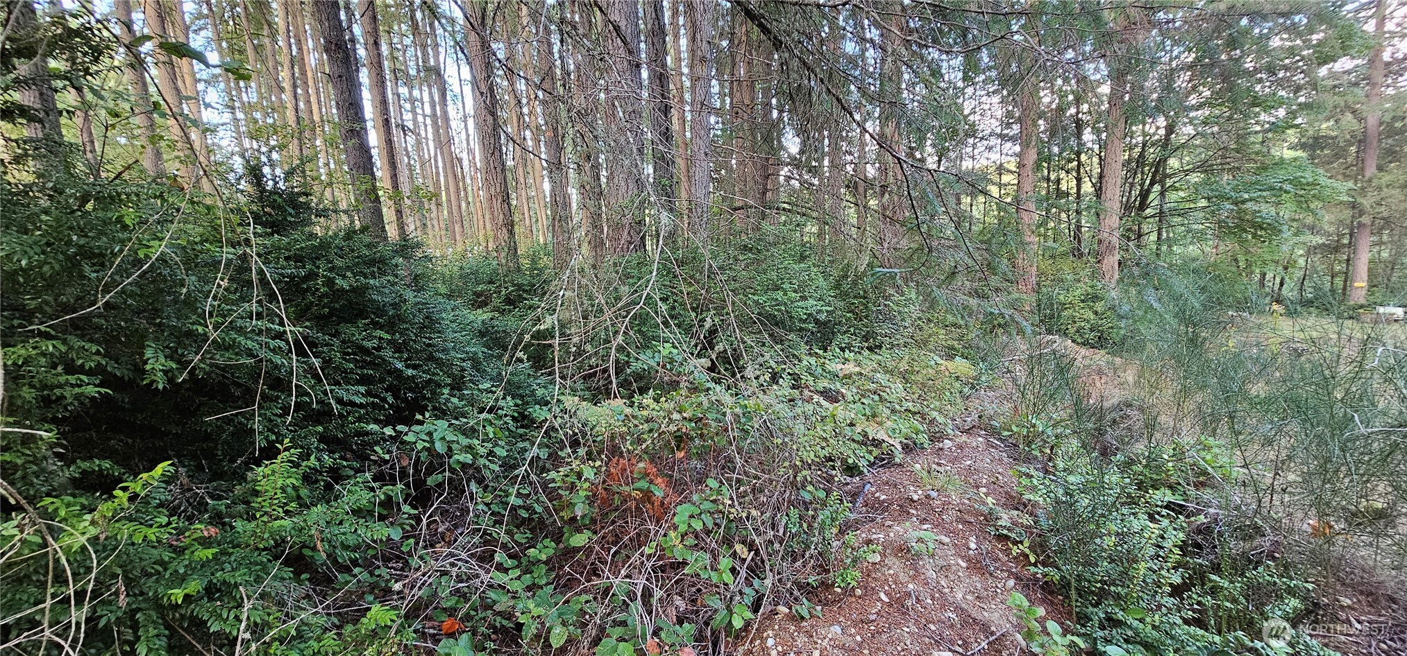 10115 Edgewood Drive Property Photo 6
