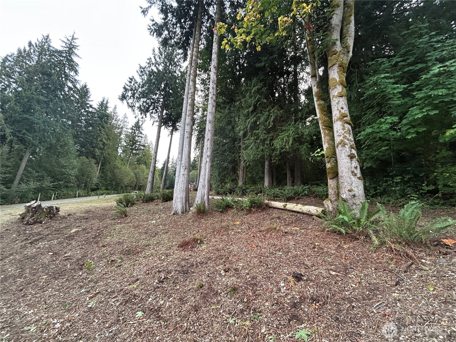 715 Samish Heights Lane Property Photo 5