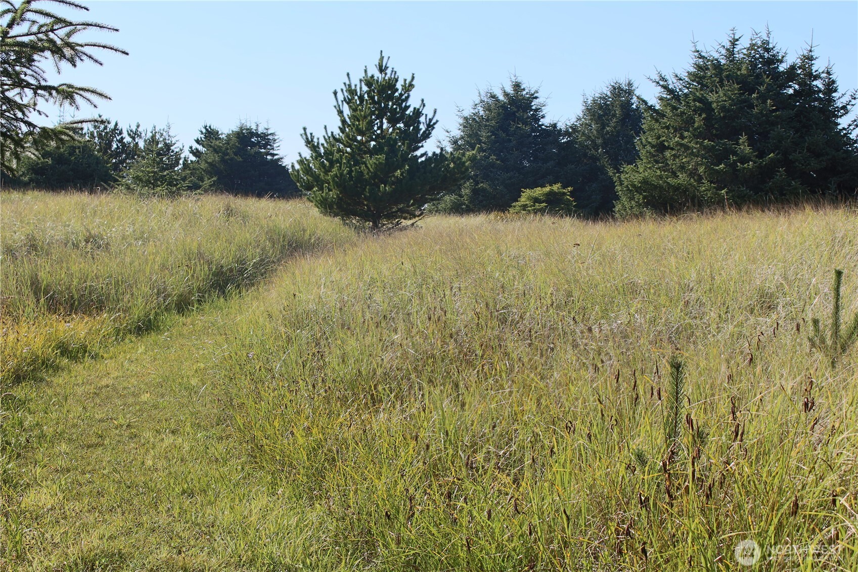 11303 Pacific Way Property Photo 32