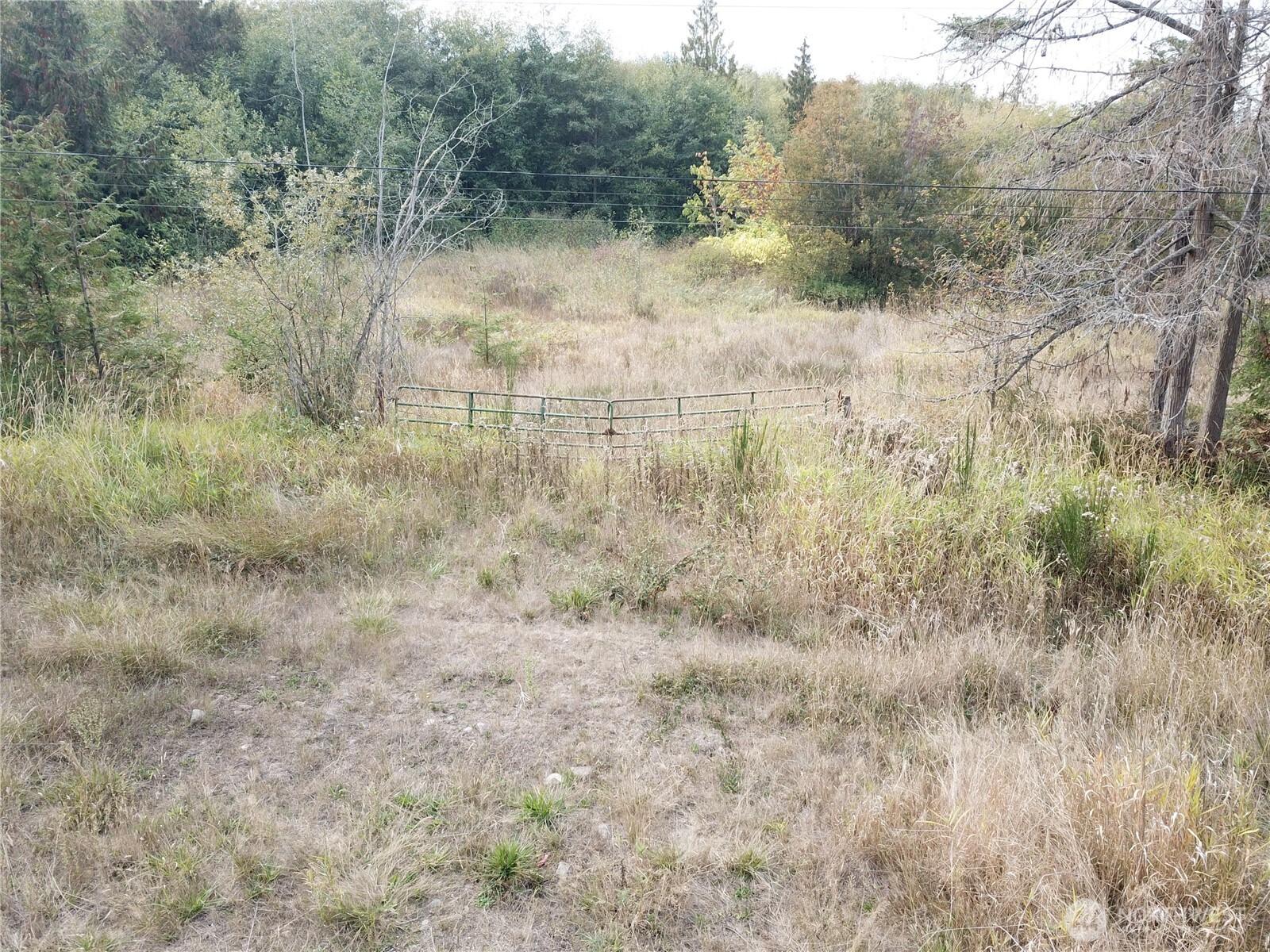 0 Fern Road Property Photo 4