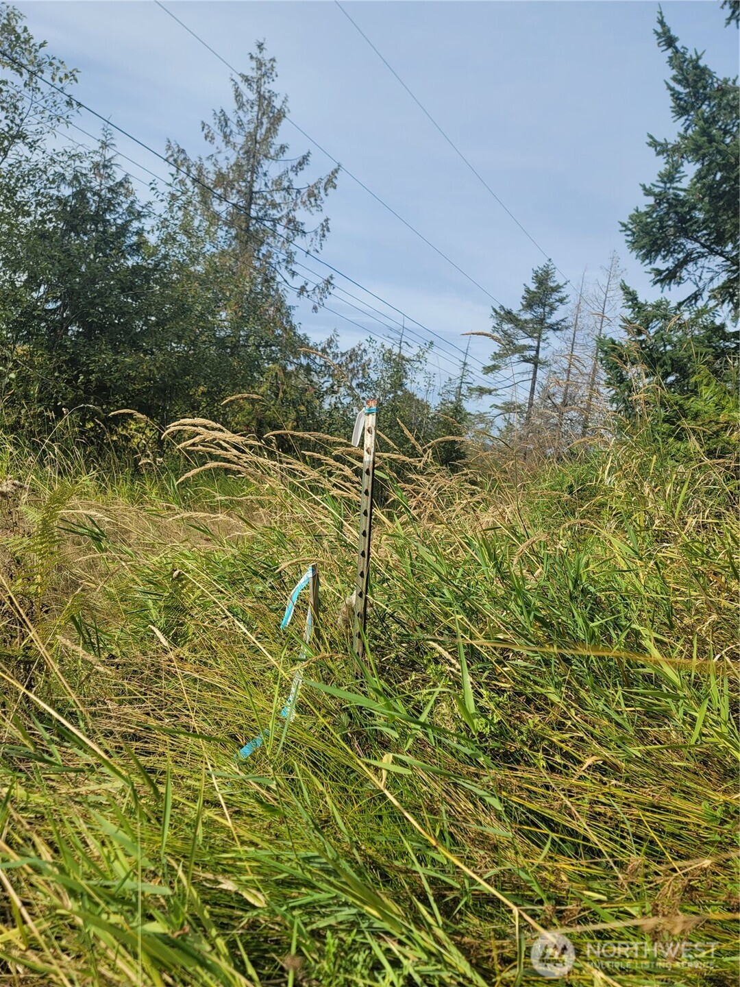 0 Fern Road Property Photo 12