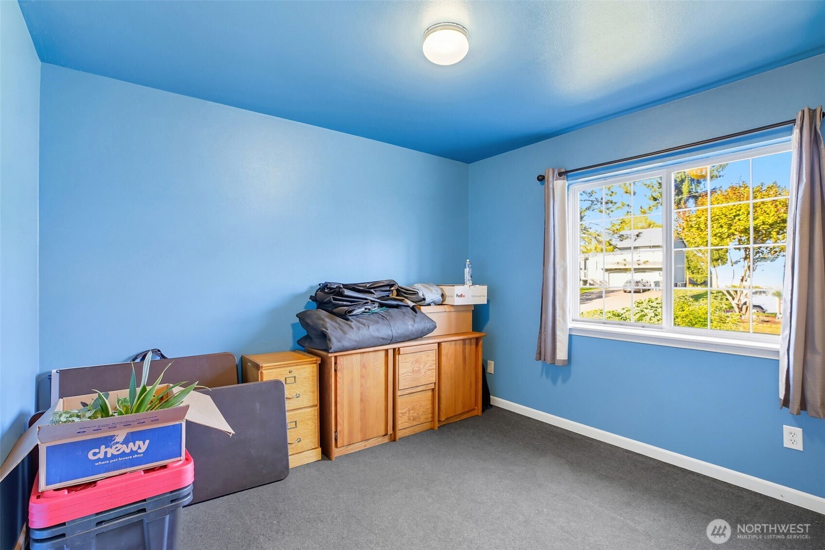 12211 Rainbow Drive Property Photo 15