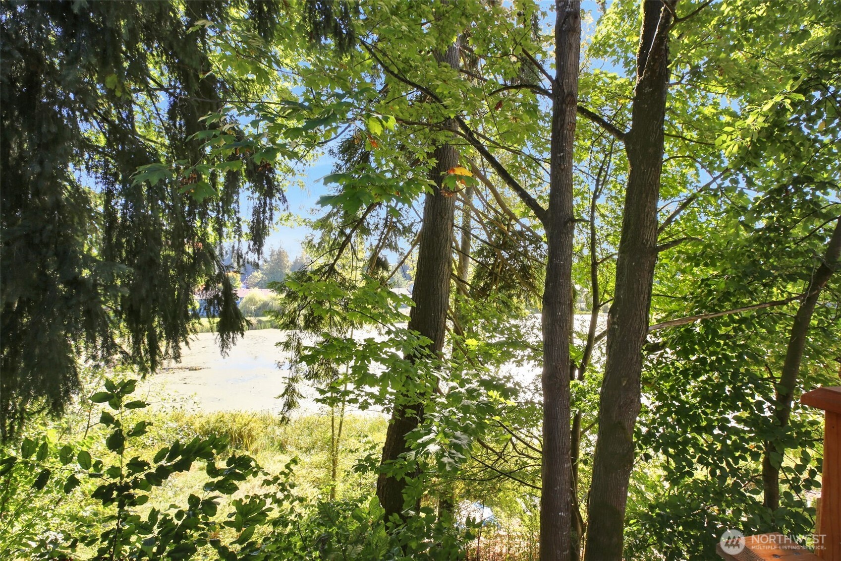 12211 Rainbow Drive Property Photo 23