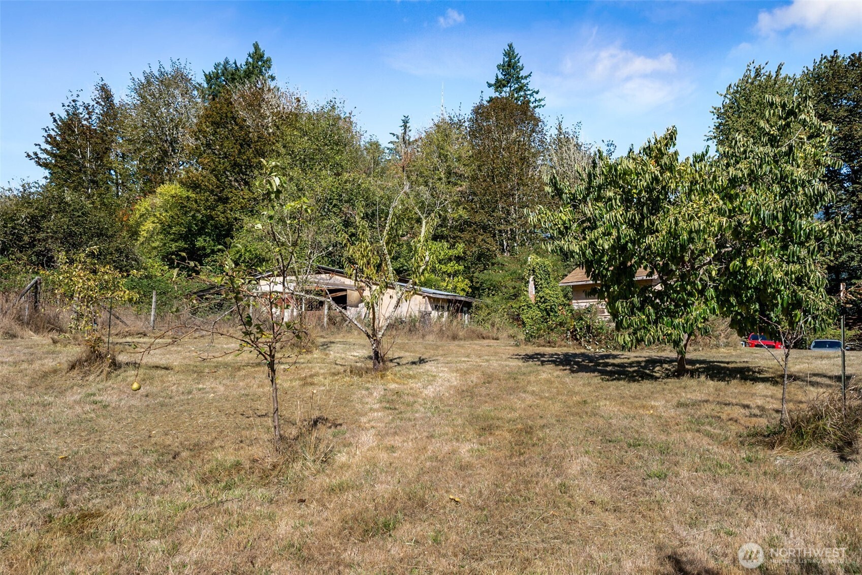 662 Cline Road Property Photo 20