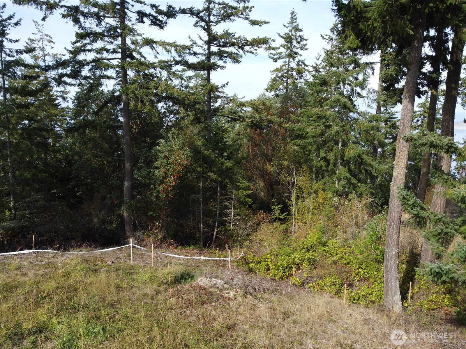 570 North Street Property Photo 13