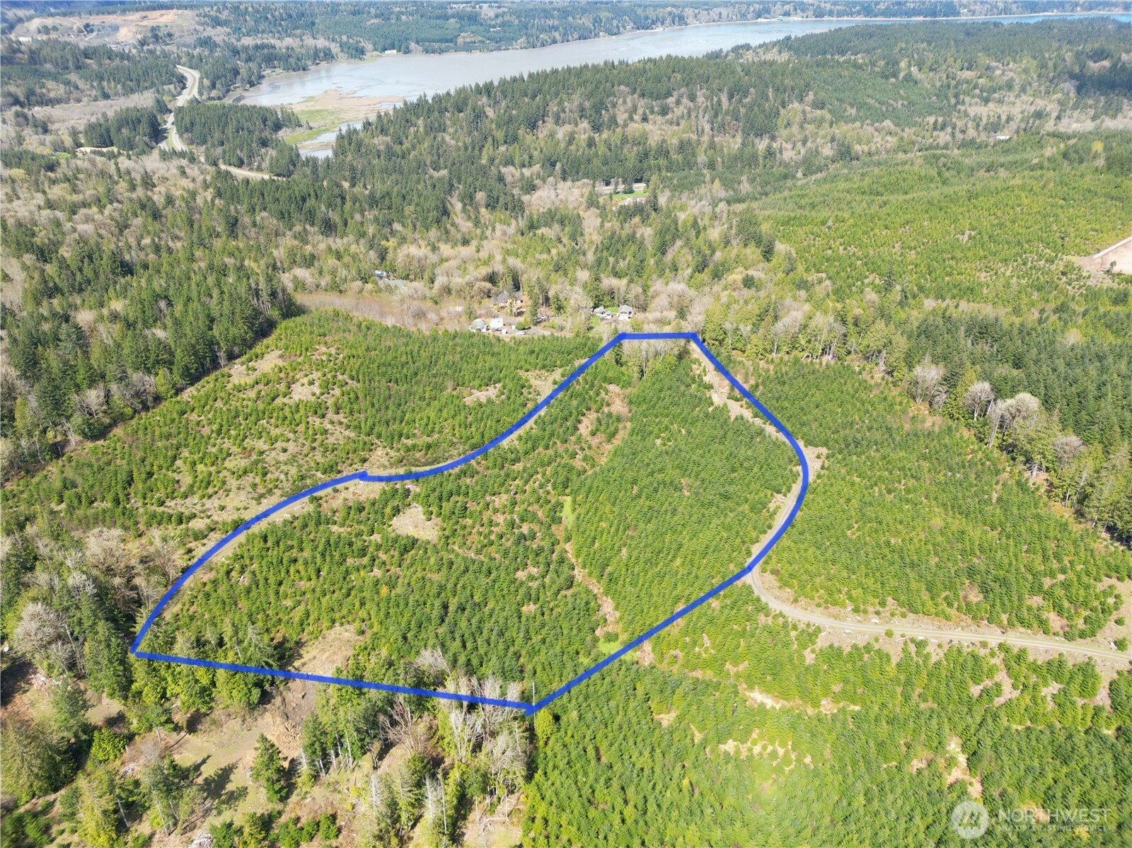 9201 Tract E Old Olympic Highway Property Photo 4