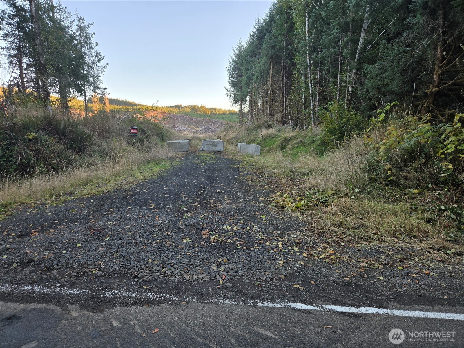 0 Nka Smith Creek Road Property Photo 9