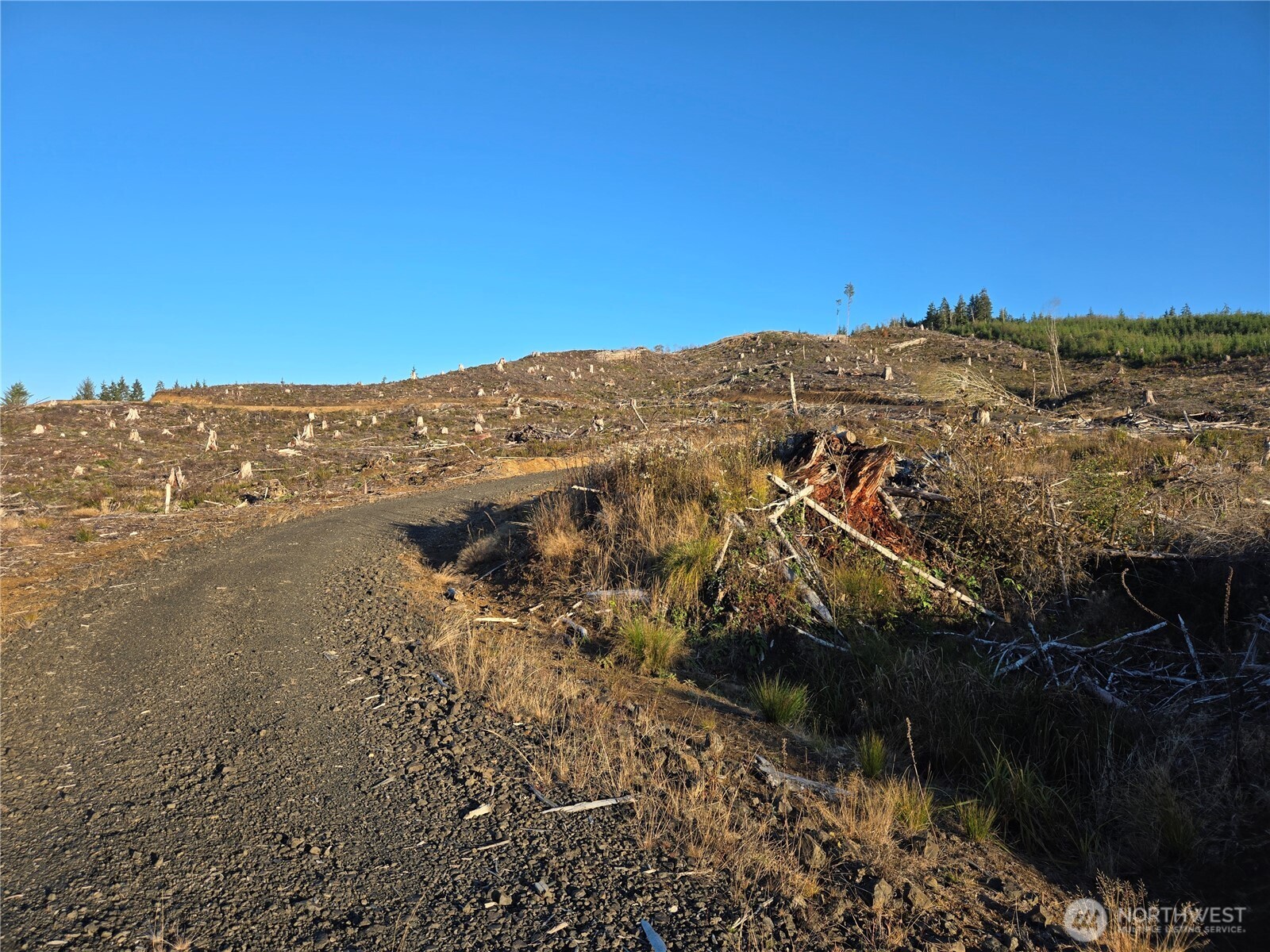 0 Nka Smith Creek Road Property Photo 13