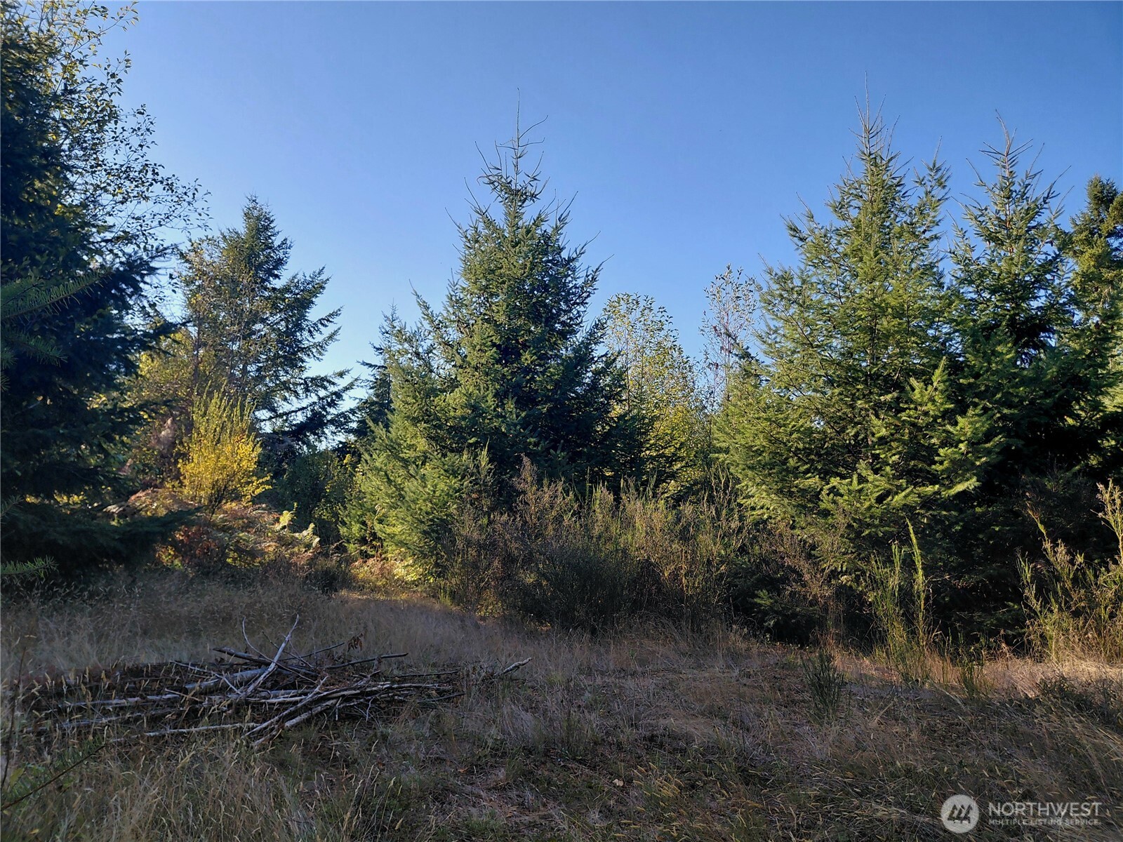 0 Lot 7 Buck Drive Property Photo 1