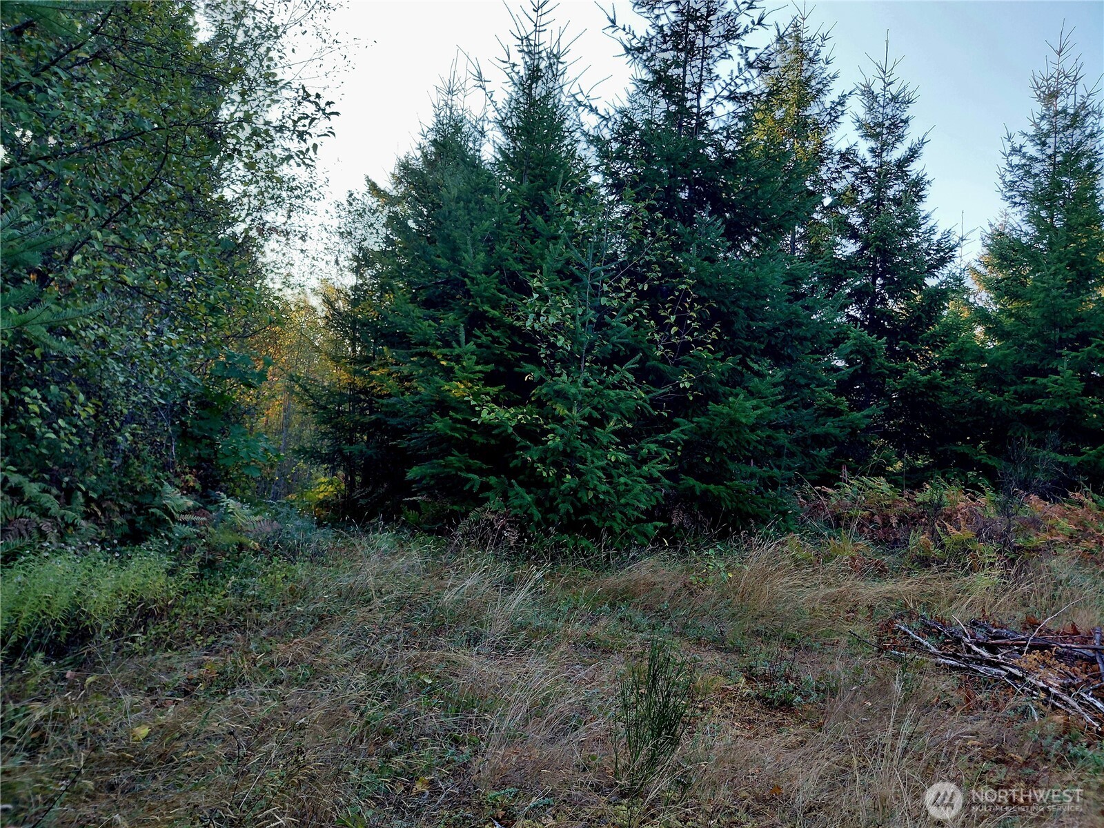 0 Lot 7 Buck Drive Property Photo 2