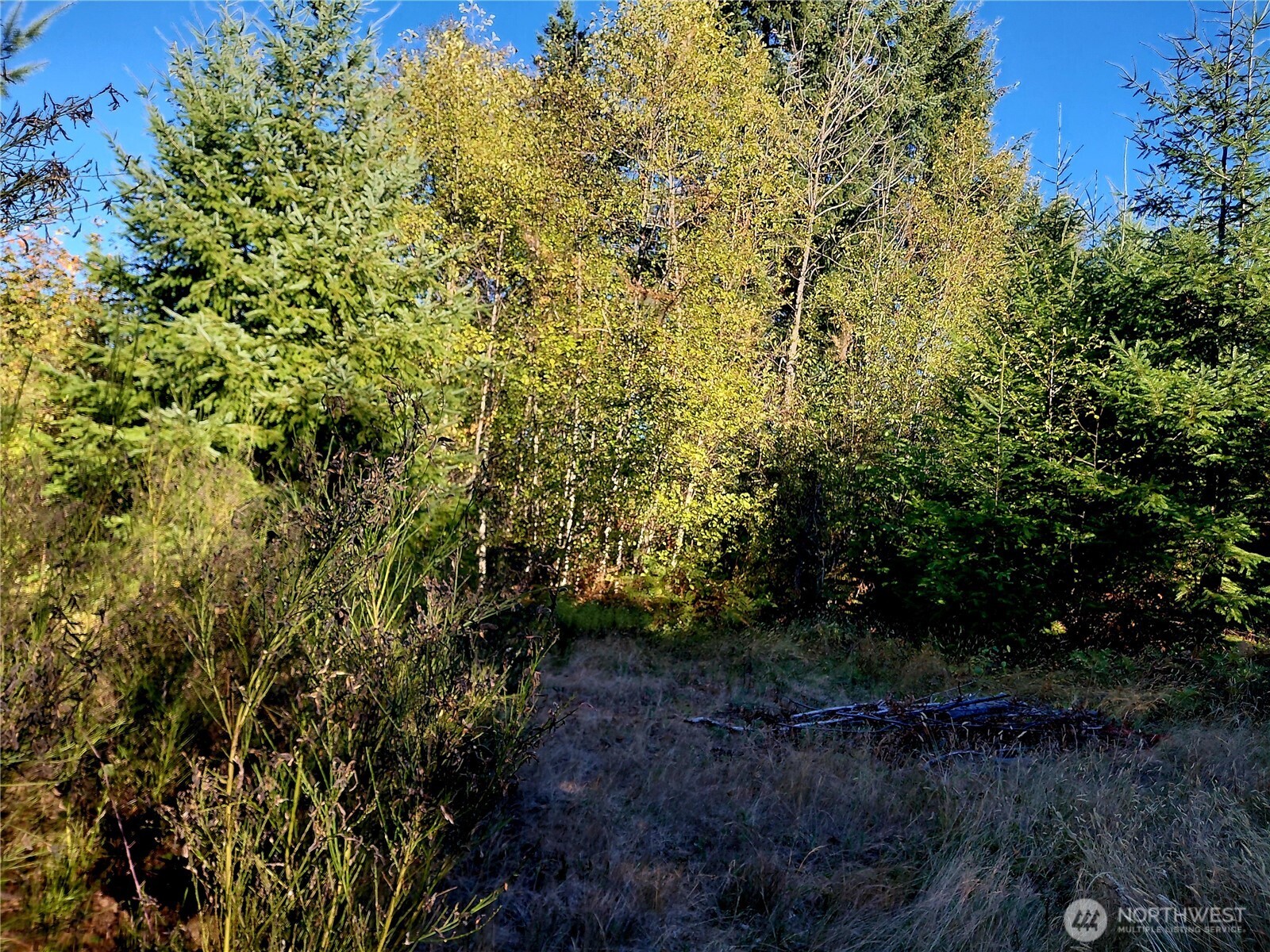 0 Lot 7 Buck Drive Property Photo 4