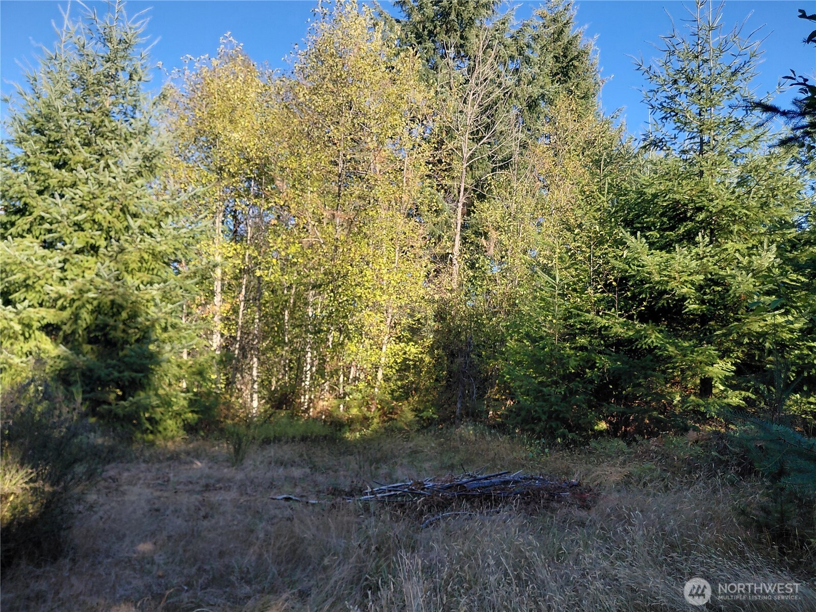 0 Lot 7 Buck Drive Property Photo 5