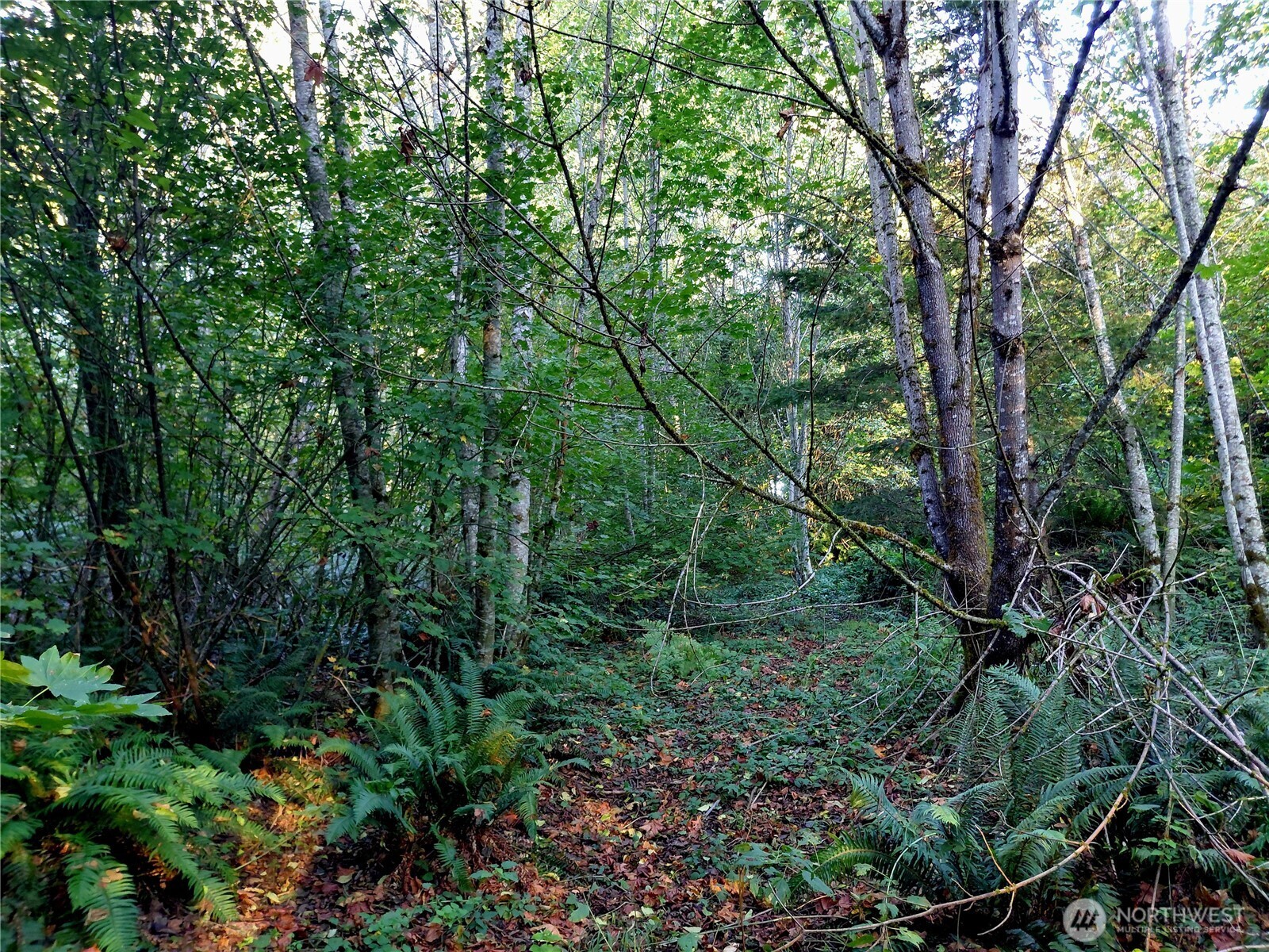 0 Lot 7 Buck Drive Property Photo 7