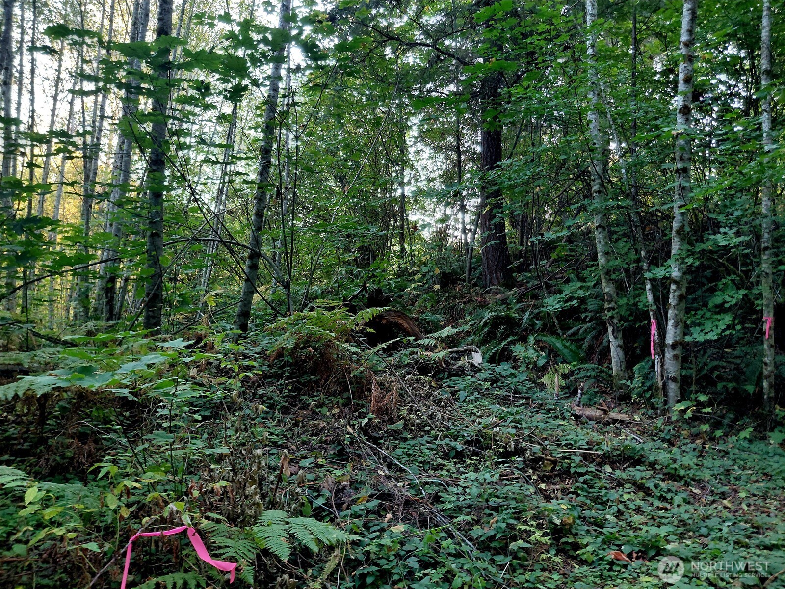 0 Lot 7 Buck Drive Property Photo 12