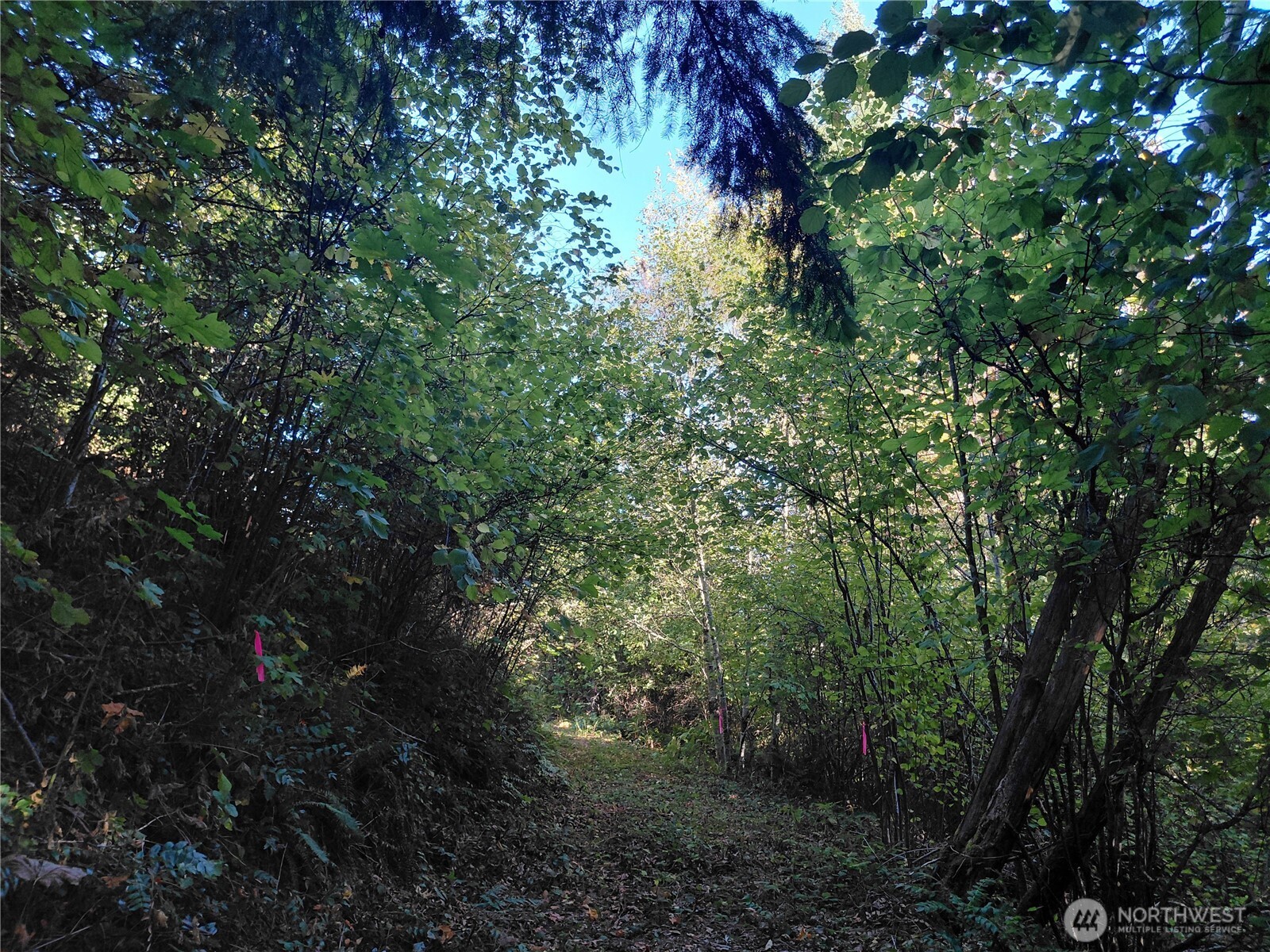 0 Lot 7 Buck Drive Property Photo 15