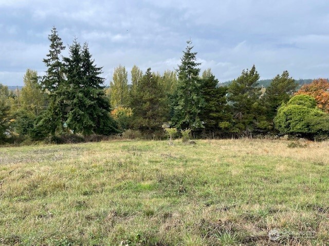 2021 Clay Street Property Photo 3