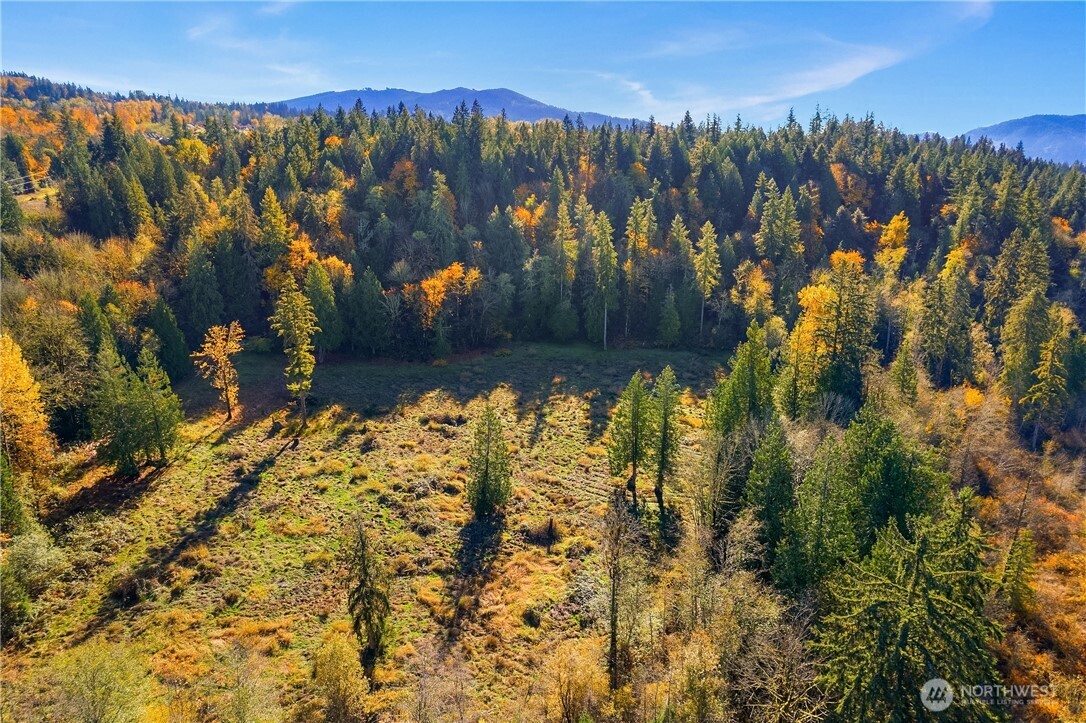 25520 Se Old Black Nugget Road Property Photo 12