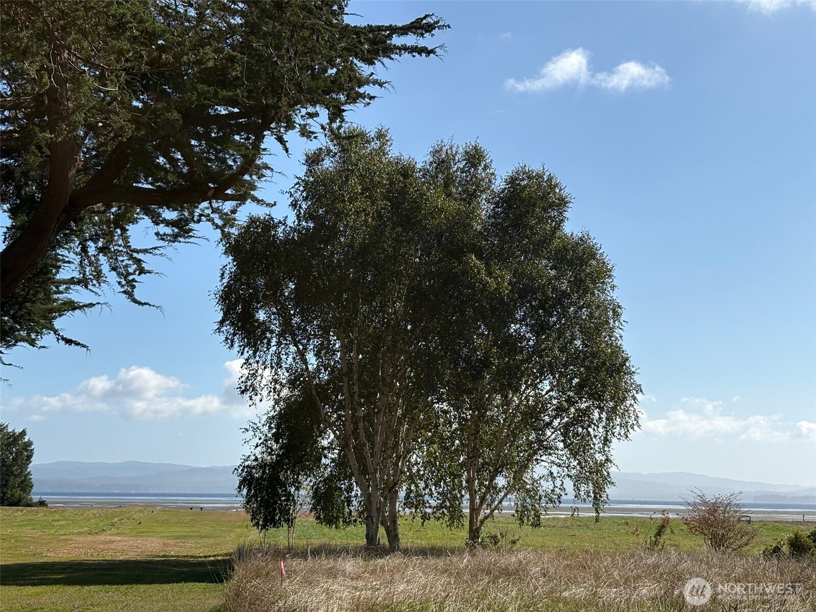 33880 Territory Road Property Photo 4