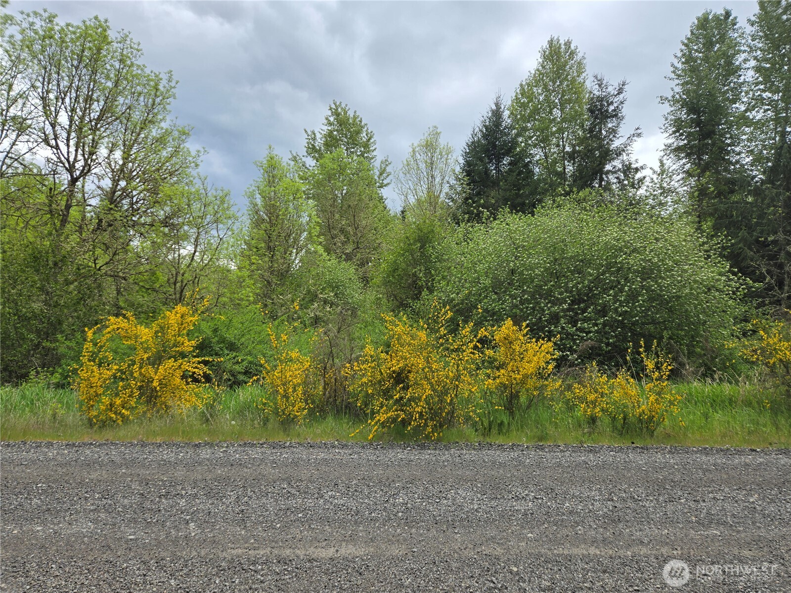 5102 Harts Lake Road Property Photo 4