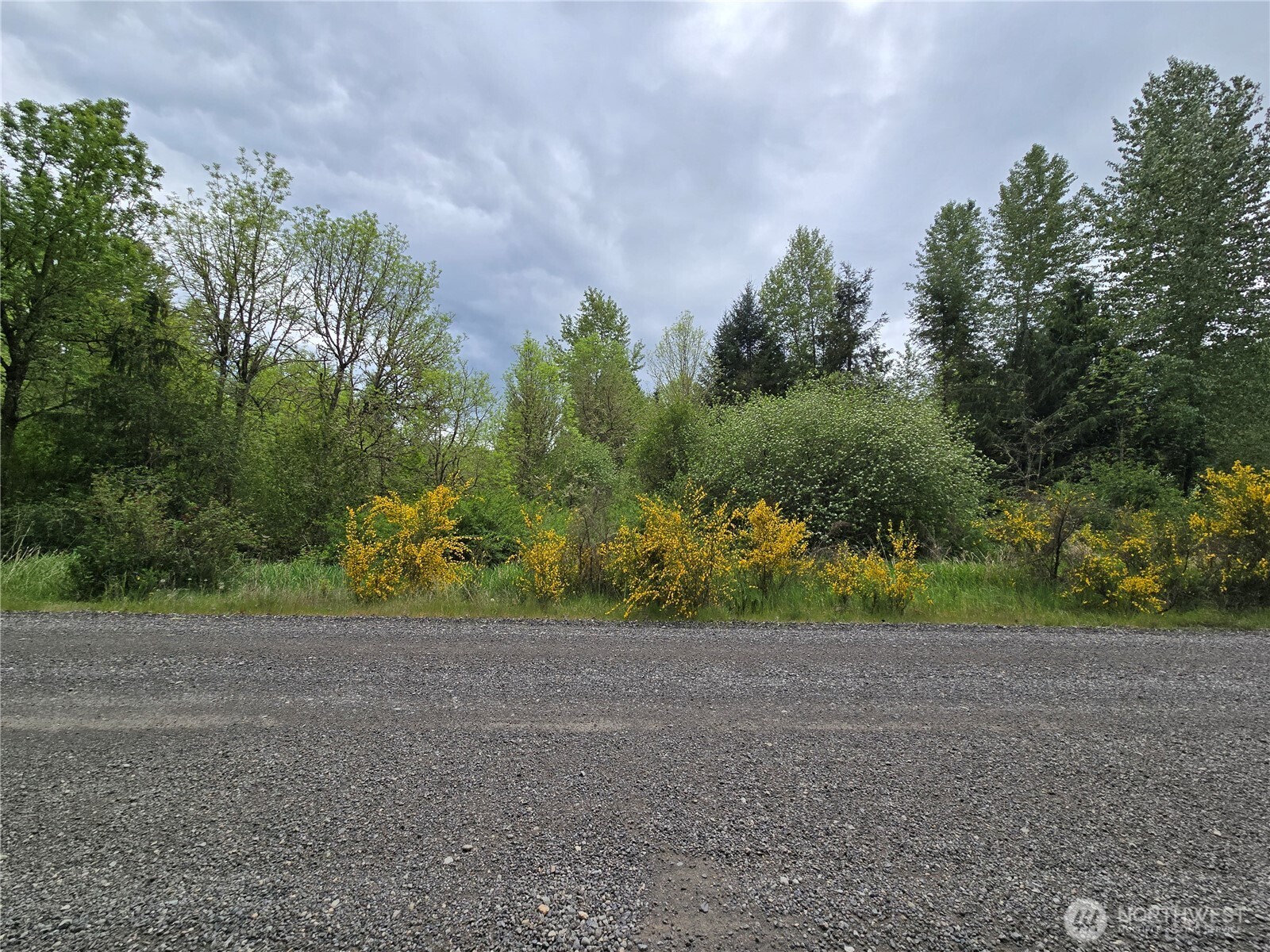 5102 Harts Lake Road Property Photo 5